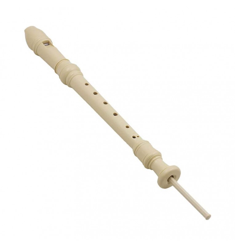 Recorder instrument